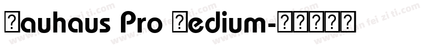 Bauhaus Pro Medium字体转换